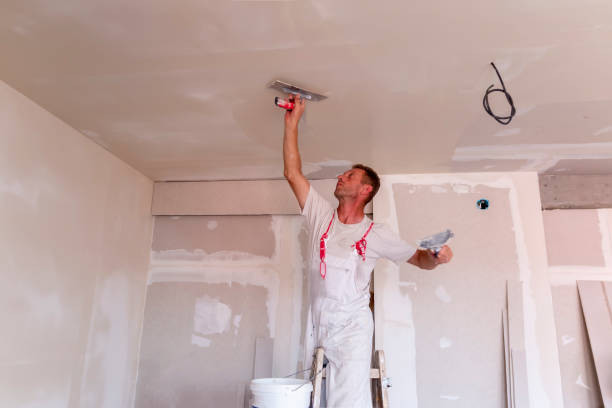 Best Ceiling Drywall Installation  in Cridersville, OH